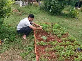 farm-life