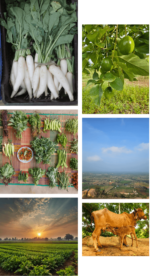 blog-banner-image