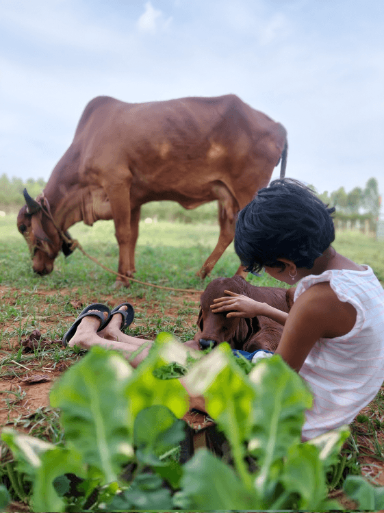 Our commitment to sustainability at Visit Harmony